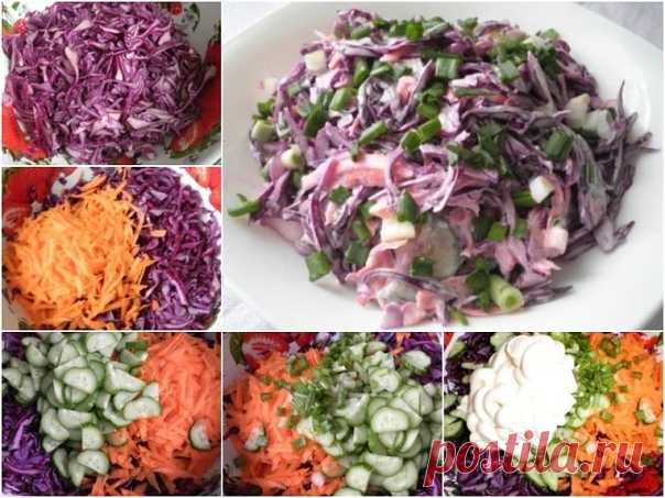 Вкусный салат из краснокочанной капусты 
Если этот салат заправлять не майонезом, а сметаной, то он еще и очень полезный! 

Ингредиенты: 
500 г краснокочанной капусты, 
2 огурца, 
1 морковь, 
пучок зелени (вкуснее с зеленым луком и укропом), 
майонез или сметана, 
соль и молотый перец по вкусу. 

Приготовление: 
1. Капусту тонко нашинковать. Посолить и слегка помять. 
2. Морковь почистить и натереть на терке. 
3. Огурец помыть и порезать. Если шкурка грубая, то лучше удали...