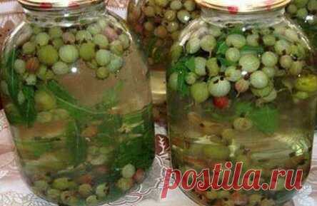 Чрезвычайно полезный, освежающий компот из крыжовника «Мохито» – любимый домашний напиток.