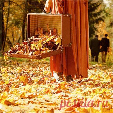 И все-таки ОСЕНЬ особенное время года - становишься задумчивым и умиротворенным. И легкая грусть, посеребрённая дождиком… по былому теплу. 🍂 🍁