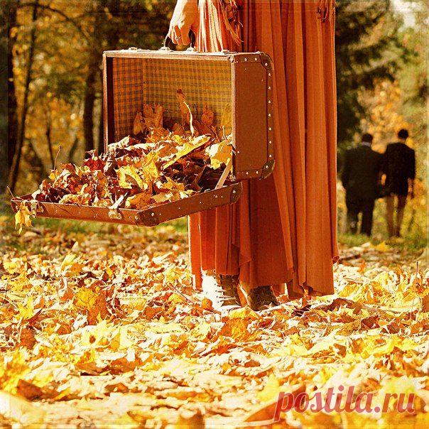 И все-таки ОСЕНЬ особенное время года - становишься задумчивым и умиротворенным. И легкая грусть, посеребрённая дождиком… по былому теплу. 🍂 🍁