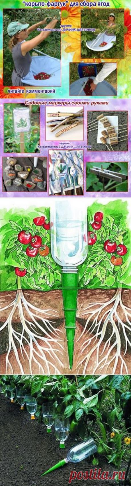 Полезные идейки для дачника | Самоцветик