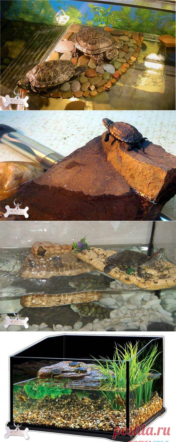 Островок для красноухой черепахи своими руками