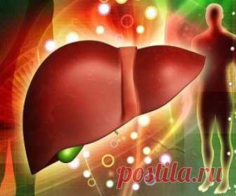 Безвредное и эффективное очищение печени в домашних условиях! Наше самочувствие, настроение, здоровье находятся в прямой зависимости от функционирования жизненно важных внутренних органов организма.