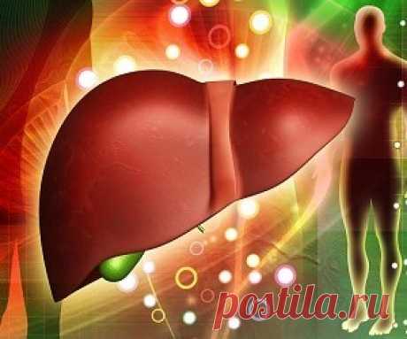 Безвредное и эффективное очищение печени в домашних условиях! Наше самочувствие, настроение, здоровье находятся в прямой зависимости от функционирования жизненно важных внутренних органов организма.