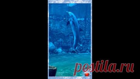 Невероятное чудо!