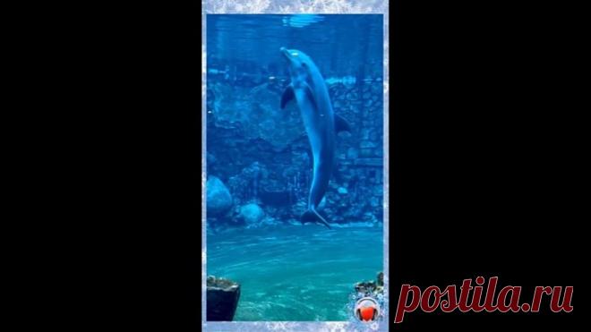 Невероятное чудо!