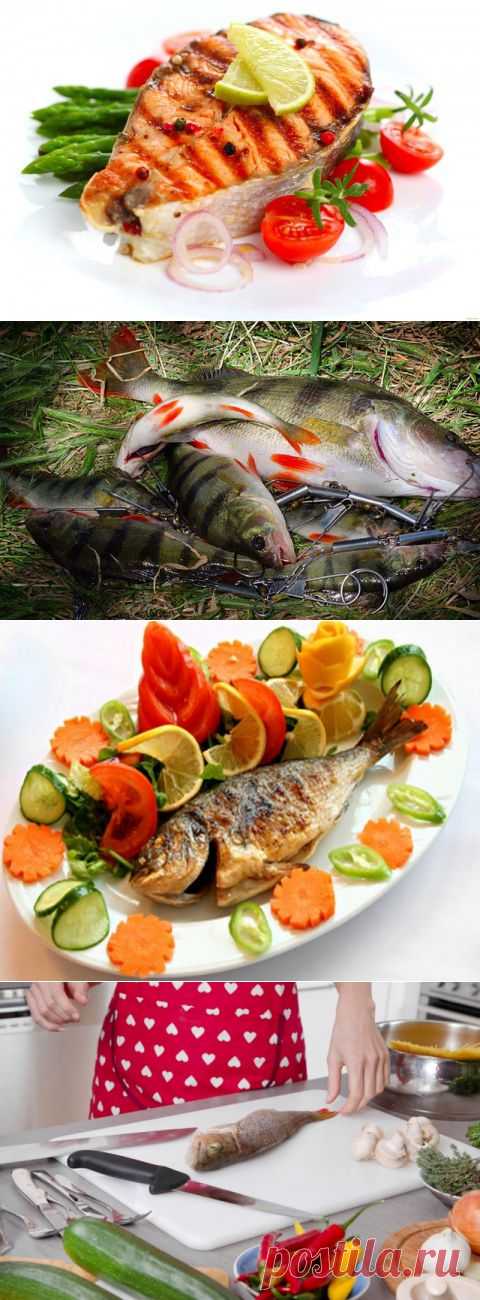 Блюда из рыбы - секреты приготовления | Четыре вкуса