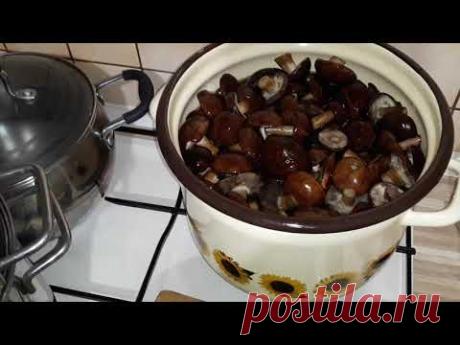 🌳🍁🐜GRZYBY W ZALEWIE SŁONEJ IDEALNE DO SOSÓW ,ZUP PIEROGÓW
