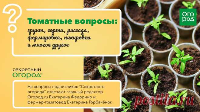 Вогородепро ру Блог по вязанию для начинающих и опытных вязальщиц Ваш ресурс номер один для обучения вязанию спицами. Блог, посвященный бесплатным выкройкам, видео по вязанию, пряже и всему, что нужно для этого удивительного хобби.