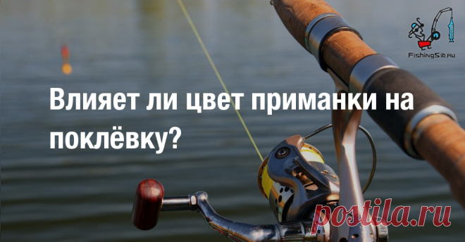 Влияет ли цвет приманки на поклёвку? Сайт Новосибирских рыбаков На прилавках магазинов «Рыболов» (или что-то в этом роде) лежат приманки с раскрасками с неимоверным количеством оттенков. И с тёплыми, холодными, и даже с ядовитыми цветами. Народ голову ломает, что же купить. Не находя ответа, покупает - «каждой твари по паре», так сказать на все случаи жизни. А