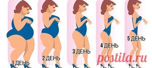 (17) Одноклассники