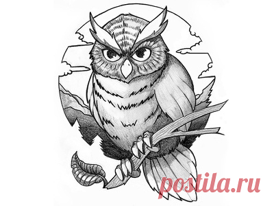Tattoo design - Owl by Oliver Müller on Dribbble