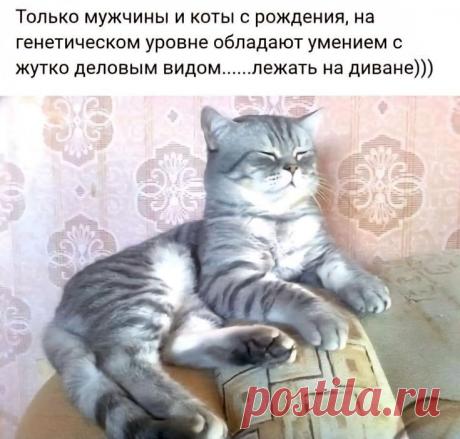 2e5b87ee.jpg (735×702)