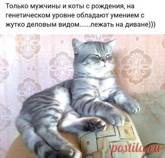 2e5b87ee.jpg (735×702)