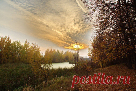 ФОТОМАСТЕРСКАЯ ПРИРОДЫ
АЛЕКСАНДР СТОЛЯРОВ