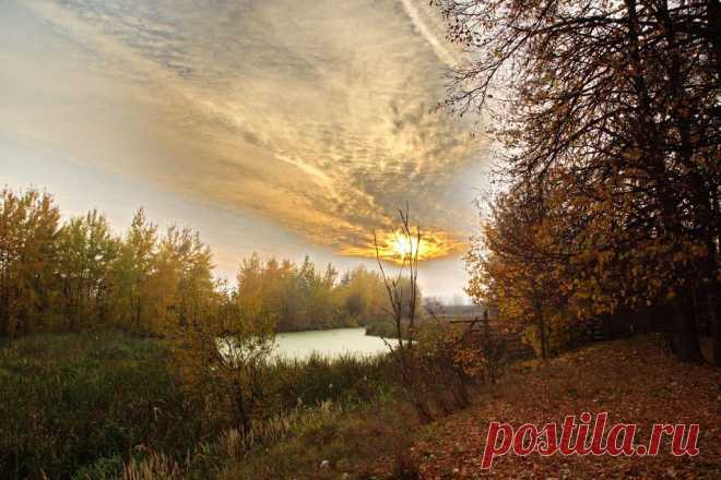 ФОТОМАСТЕРСКАЯ ПРИРОДЫ
АЛЕКСАНДР СТОЛЯРОВ