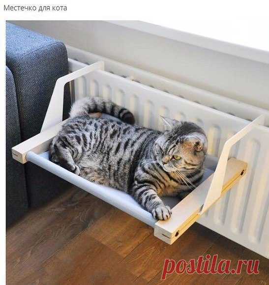 Всё для кота