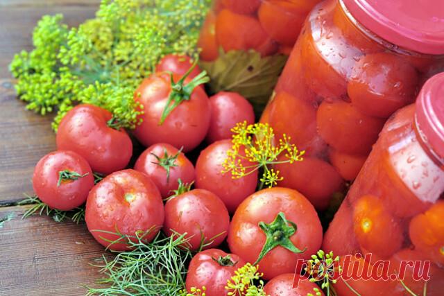5 простых рецептов заготовки томатов

 Малосольные помидоры быстрые

Ингредиенты:

Перец черный горошек - 2 штуки
Перец душистый - 2 штуки
Укроп - 1 пучок
Хрен - 0,5 штуки
Чеснок - 2 зубчика
Соль - 1,5 столовые ложки
Томат (помидор) красный - 1 килограмм.

Приготовление

Все указанное количество ингредиентов рассчитано на 1 литр готового продукта!

1. Мытые помидоры укладываем в банку. Постарайтесь выбрать мелкие и зрелые томаты.
2. В каждую из банок добавляем укроп вместе...