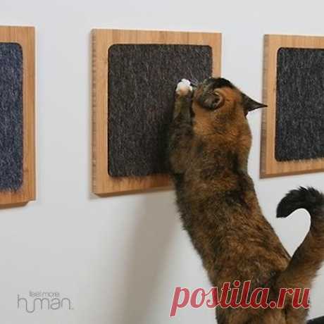 23 полезных лайфхака для хозяина кошки