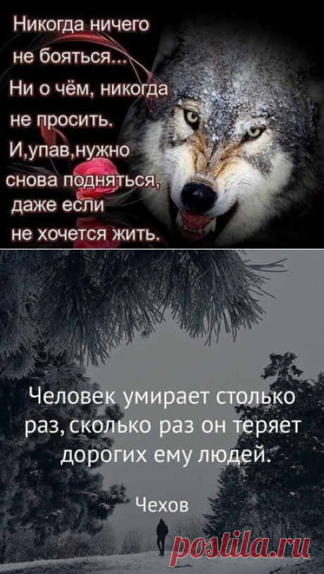 (99) Одноклассники
