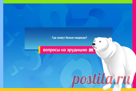 Где живут белые медведи?
