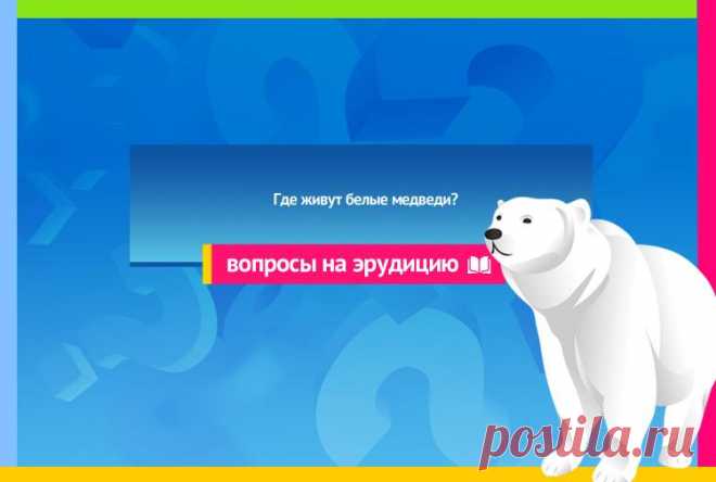 Где живут белые медведи?