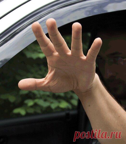 Встречный водитель показывает ладонь с растопыренными пальцами. О чем он хочет сказать? | Автовыбор | Яндекс Дзен