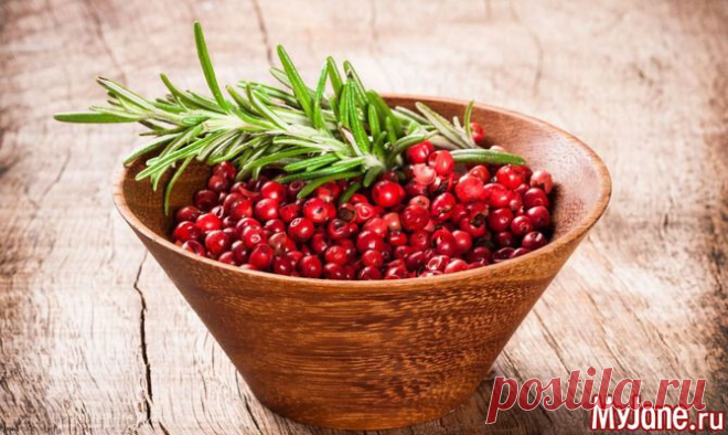 Незабываемые рецепты народной медицины. Клюква - лекарь.