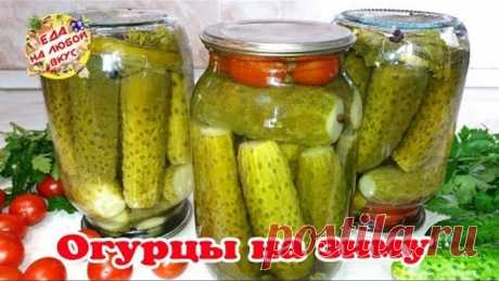 ОГУРЦЫ на Зиму | Для хранения в квартире! Хрустящие и вкусные