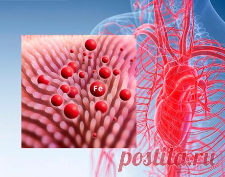 Чем опасен высокий уровень ферритина в крови Ферритином называют белок, который запасает железо в крови и доставляет его в участки тела, которые в нем особенно нуждаются. Его уровень возрастает при острых и хронических стадиях воспаления, поэтому следует контролировать показатель этого белка.