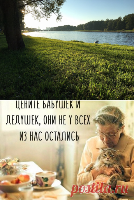 Старики раздражают? Простая истина,которая помогает по-другому посмотреть на старшее поколение | Pravdoiskatel