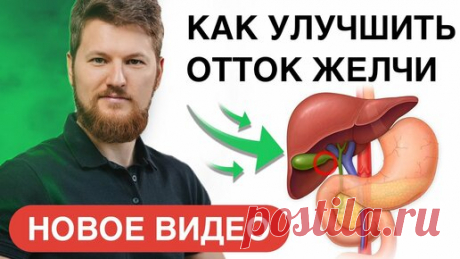 Тимофей Кармацкий | КАК УЛУЧШИТЬ ОТТОК ЖЕЛЧИ | Тимофей Кармацкий