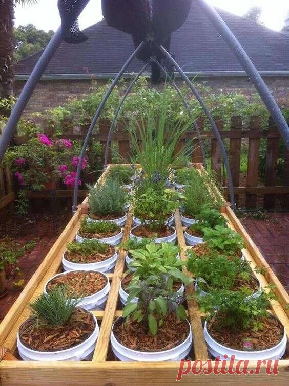 11 идей домашнего сада — собственный стиль сэра Орты дома