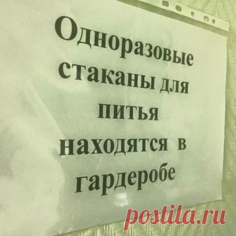 Полны сарказма, глубокомысленных метафор… Самые странные объявления - Экологическое землетворчество | Экологическое землетворчество