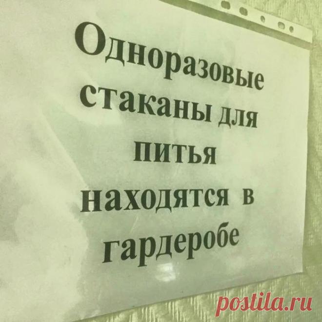 Полны сарказма, глубокомысленных метафор… Самые странные объявления - Экологическое землетворчество | Экологическое землетворчество