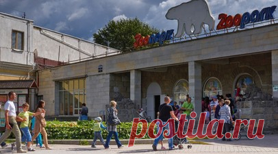 В Санкт-Петербурге объяснили, почему в местном зоопарке нет слонов. В Ленинградском зоопарке объяснили причину отсутствия слонов. Как оказалось, подходящего места для животных там нет. Читать далее