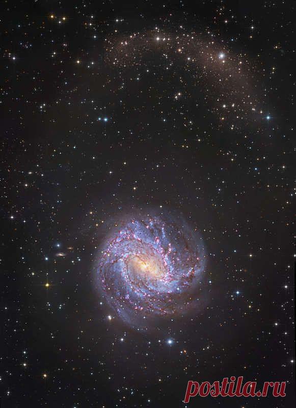 Большая, яркая и красивая спиральная галактика M83 находится всего лишь в 12 миллионах световых лет от нас возле южного конца очень длинного созвездия Гидры. Этот глубокий снимок прекрасной островной вселенной включает в себя данные с Космического телескопа имени Хаббла, с Очень большого телескопа Европейской Южной обсерватории, с телескопа Национальной астрономической обсерватории Японии Субару, а также фотоданные  Австралийской астрономической обсерватории.