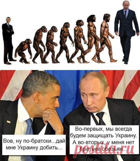 Путин. Лучшие приколы интернета / Писец - приколы интернета
Свежий суперпост про российского президента. Предыдущие части из этой коллекции стали очень популярными на Писце. Огромная армия народных юмористов продолжает сочинять приколы о нем. Лучшие из них — смотрите далее…
И не забудьте проголосовать и поделиться со своими друзьями! Если и эта тема будет иметь большой отклик, то снова будет продолжение.