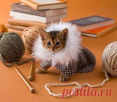 хх