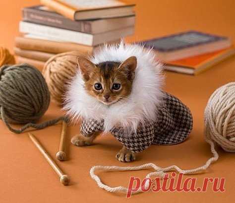 хх