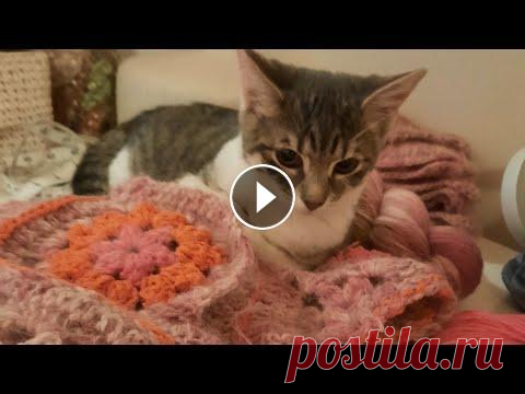 Вяжу Не Одна...Пряжа Заканчивается ...Мои Покупки  В Чёрную Пятницу #vlog Всем привет дорогие Друзья и Рукодельницы! Сегодня Влог обо всем по немногу .. )) Приглашаю...