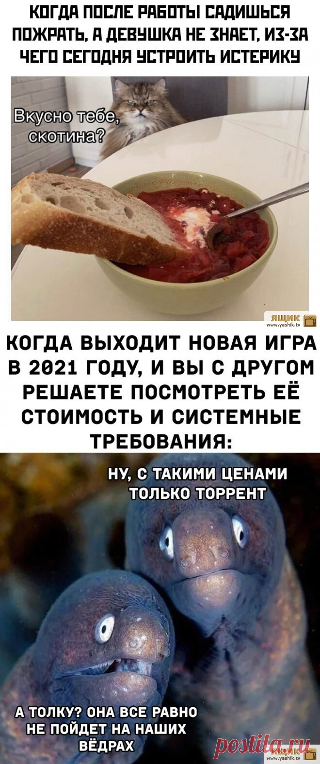 Мемы и прикольные картинки / Картинки: Приколы