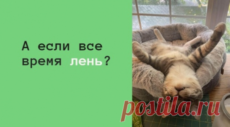 А ЕСЛИ ВСЕ ВРЕМЯ ЛЕНЬ? Вам такое знакомо?

Вот хочу ходить в спортзал, а лень, хочу учить иностранный язык, а лень, хочу сменить работу, а лень. И многое другое люди списывают на лень, как будто она от нас не зависит.