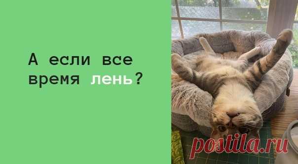 А ЕСЛИ ВСЕ ВРЕМЯ ЛЕНЬ? Вам такое знакомо?

Вот хочу ходить в спортзал, а лень, хочу учить иностранный язык, а лень, хочу сменить работу, а лень. И многое другое люди списывают на лень, как будто она от нас не зависит.