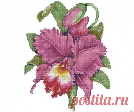Схема для простой вышивки крестиком Розовый ирис купить в интернет-магазине Ярмарка Мастеров по цене 250 ₽ – W0MZARU | Схемы для вышивки, Рошаль - доставка по России