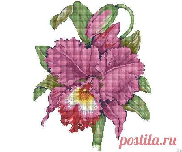 Схема для простой вышивки крестиком Розовый ирис купить в интернет-магазине Ярмарка Мастеров по цене 250 ₽ – W0MZARU | Схемы для вышивки, Рошаль - доставка по России