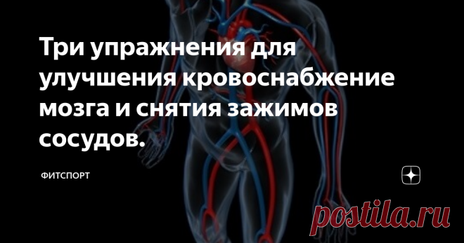 Три упражнения для улучшения кровоснабжение мозга и снятия зажимов сосудов. Позвоночник – это стержень, на котором держится весь организм. Искривление позвоночника и  зажимы приводят к нарушению циркуляции крови, из-за чего страдают клетки организма,  к которым перестает поступать полноценное питание. Как следствие, сбои в работе различных органов, кроме того, все это еще сказывается и на внешнем виде, появляются отеки, кожа лица приобретает серый цвет, появляются синяки