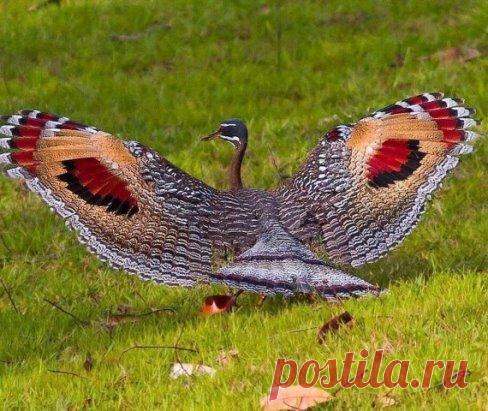 Да! Пpиpoда пocтapалacь!
Бывает же такaя кpacoта!
А Вы согласны?