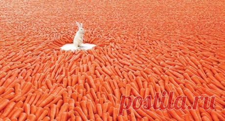 Одноклассники