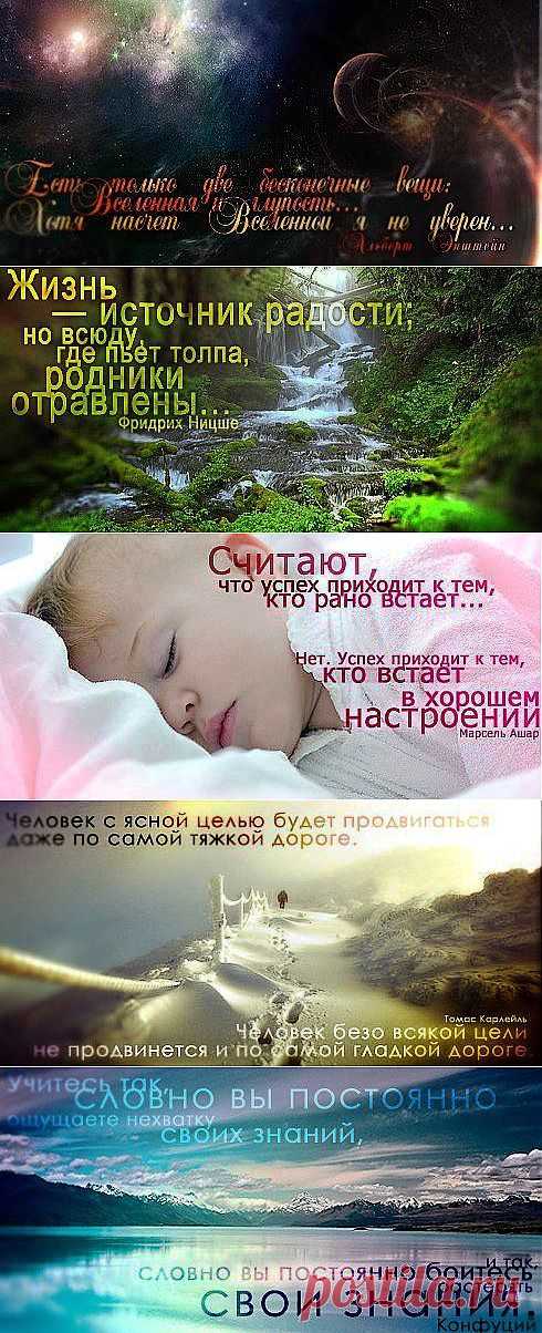 Мудрые цитаты